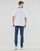 Abbigliamento Uomo T-shirt maniche corte Reebok Classic Arch Logo Vectorr Tee 
