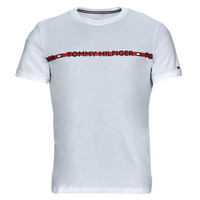 Vêtements Homme T-shirts manches courtes Tommy Hilfiger CN SS TEE LOGO 