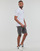 Kleidung Herren Shorts / Bermudas Levi's 501® ORIGINAL SHORT Grau