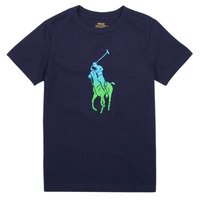 Vêtements Fille T-shirts manches courtes Polo Ralph Lauren SS CN M1-KNIT SHIRTS-T-SHIRT 