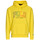 Kleidung Herren Sweatshirts Polo Ralph Lauren 710899182005 Gelb