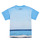 Kleidung Jungen T-Shirts Desigual TS_ALBERT Blau