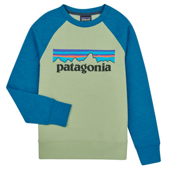 Kleidung Kinder Sweatshirts Patagonia K's LW Crew Sweatshirt Bunt
