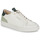 Schuhe Herren Sneaker Low Pellet SIMON Graine / Weiß