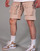 Abbigliamento Uomo Shorts / Bermuda THEAD. STEF SHORT 