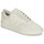 Schuhe Sneaker Low Adidas Sportswear COURT REVIVAL Beige