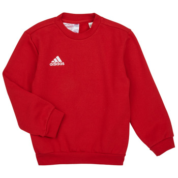 Kleidung Kinder Sweatshirts adidas Performance ENT22 SW TOPY Rot