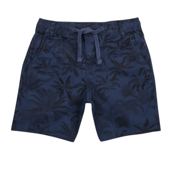 Abbigliamento Bambino Shorts / Bermuda Teddy Smith S-SLING JR PRIN 