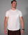 Vêtements Homme T-shirts manches courtes THEAD. HARBEY TEE 