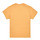 Kleidung Mädchen T-Shirts Vans SUNFLOWER ANIMAL BOX CREW Gelb