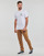 Vêtements Homme T-shirts manches courtes Vans ORIGINAL TALL TYPE SS TEE 