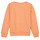Kleidung Mädchen Sweatshirts Name it NKFLOFFINA LS SWE BRU PS Orange