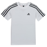 Kleidung Kinder T-Shirts Adidas Sportswear LK 3S CO TEE Weiß