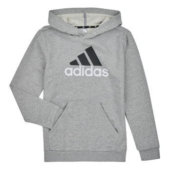 Kleidung Jungen Sweatshirts Adidas Sportswear BL 2 HOODIE Grau