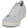 Chaussures Homme Baskets basses Saola CANNON KNIT II 
