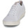 Chaussures Femme Baskets basses Saola CANNON KNIT II 
