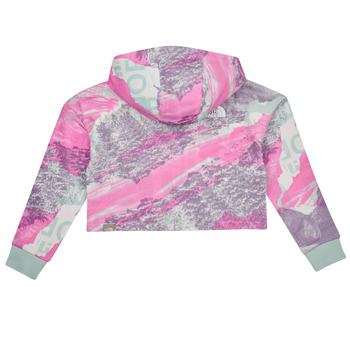 The North Face Girls Drew Peak Light Hoodie Bunt