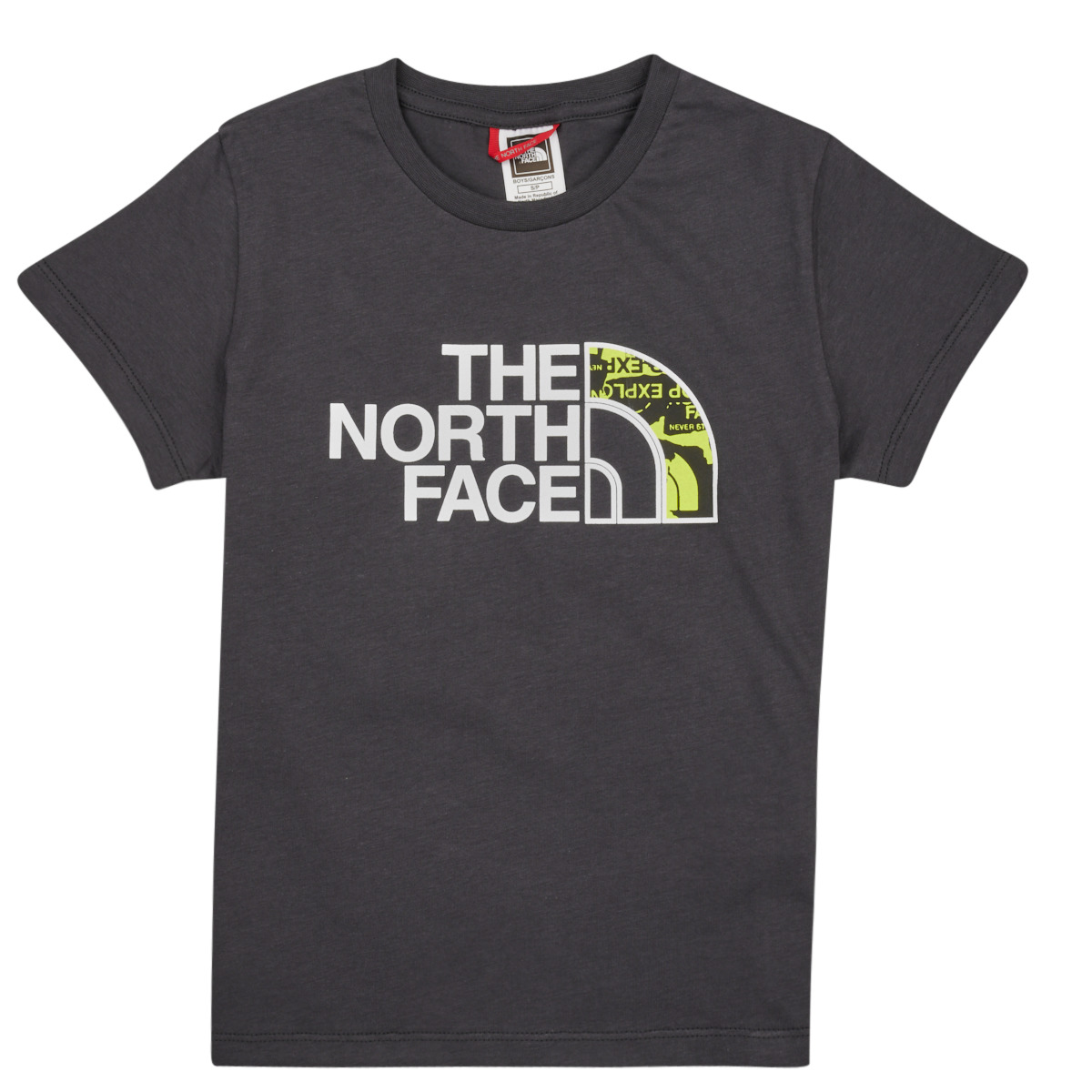 Vêtements Garçon T-shirts manches courtes The North Face Boys S/S Easy Tee 
