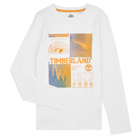 Vêtements Garçon T-shirts manches longues Timberland T25U29-10P-J 