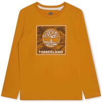 Kleidung Jungen T-Shirts Timberland T25U36-575-C Gelb