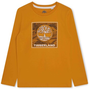 Kleidung Jungen T-Shirts Timberland T25U36-575-C Gelb
