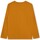 Vêtements Garçon T-shirts manches courtes Timberland T25U36-575-J 