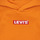 Kleidung Jungen Sweatshirts Levi's LVN BOXTAB PULLOVER HOODIE Orange