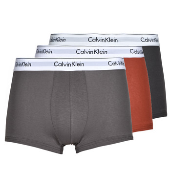 Sous-vêtements Homme Boxers Calvin Klein Jeans TRUNK X3 