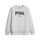 Kleidung Jungen Sweatshirts Puma PUMA SQUAD CREW FL B Grau