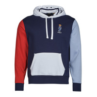 Kleidung Herren Sweatshirts Polo Ralph Lauren SWEATSHIRT CAPUCHE COLORBLOCK BEAR BRODé Marineblau / Rot / Blau / Weiß