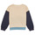 Kleidung Jungen Sweatshirts Petit Bateau LOEL Marineblau / Weiß / Blau