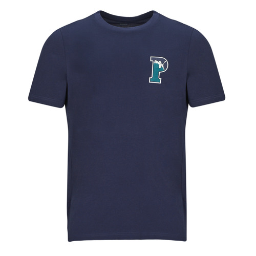 Vêtements Homme T-shirts manches courtes Puma PUMA SQUAD BADGE TEE 