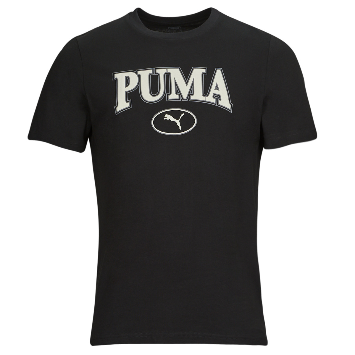 Kleidung Herren T-Shirts Puma PUMA SQUAD TEE    