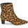 Schuhe Damen Low Boots Lauren Ralph Lauren WILLA-BOOTS-BOOTIE Kognac