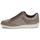 Schuhe Damen Sneaker Low Geox D MYRIA Beige / Golden