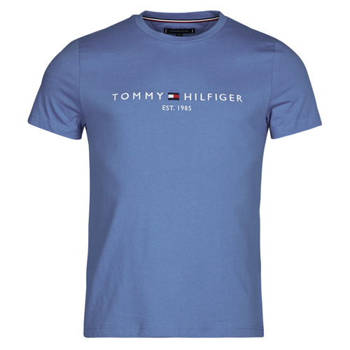 Vêtements Homme T-shirts manches courtes Tommy Hilfiger TOMMY LOGO TEE 