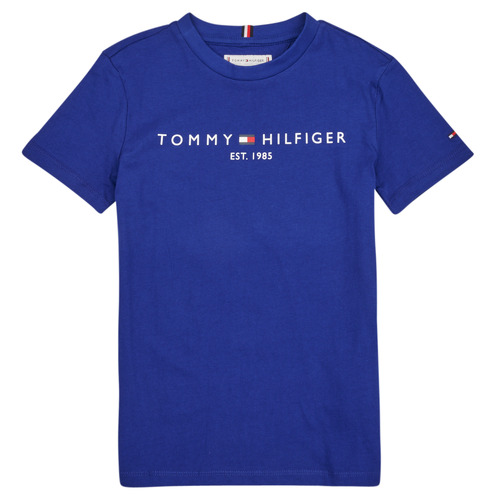 Vêtements Enfant T-shirts manches courtes Tommy Hilfiger ESTABLISHED LOGO 