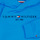Kleidung Kinder Sweatshirts Tommy Hilfiger ESTABLISHED LOGO Blau