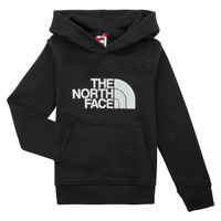 Vêtements Garçon Sweats The North Face Boys Drew Peak P/O Hoodie 