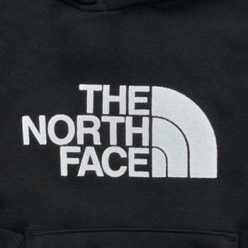 The North Face Boys Drew Peak P/O Hoodie 