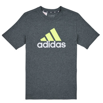 Vêtements Garçon T-shirts manches courtes Adidas Sportswear BL 2 TEE 