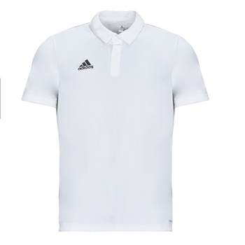 Kleidung Herren Polohemden adidas Performance ENT22 POLO Weiß