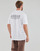 Abbigliamento Uomo T-shirt maniche corte Adidas Sportswear Tee WHITE 