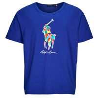 Vêtements Homme T-shirts manches courtes Polo Ralph Lauren TSHIRT MANCHES COURTES BIG POLO PLAYER 