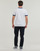 Kleidung Herren T-Shirts Lacoste TH7531 Weiß