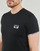 Vêtements Homme T-shirts manches courtes Emporio Armani PIPING LOGOBANG 