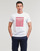 Vêtements Homme T-shirts manches courtes Esprit OCS LOGO STRIPE 