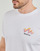 Abbigliamento Uomo T-shirt maniche corte Billabong SEGMENT SS 