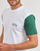 Abbigliamento Uomo T-shirt maniche corte Vans COLORBLOCK VARSITY SS TEE 