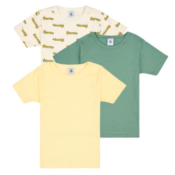 Vêtements Garçon T-shirts manches courtes Petit Bateau A0A8I X3 